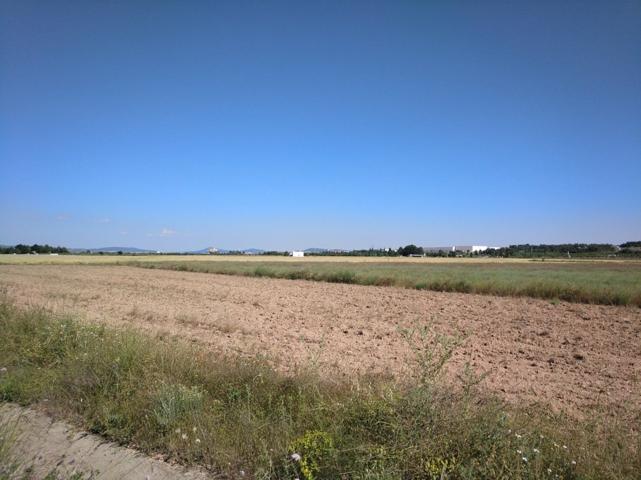 PARCELA DE 22.400 M2 EN PARAJE 'EL RUBIAL' photo 0