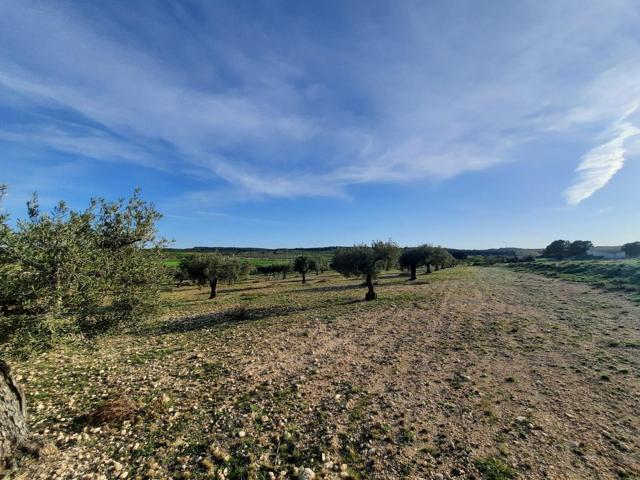 TERRENO PARA SU CASA DE CAMPO EN CANTO BLANCO photo 0