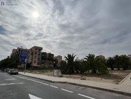 Parcela para construir su negocio! photo 0