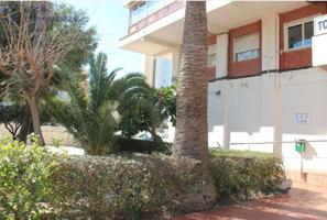 Piso de 1 dormitorio en Cabo Huertas, a 200 metros de la playa photo 0