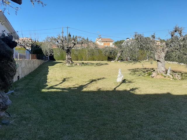 Terreno de 440m2 totalmente plano photo 0