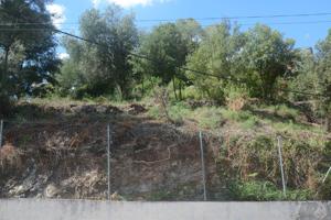 Parcela en Les Parretes. Carrer Xarel·lo, 63 photo 0