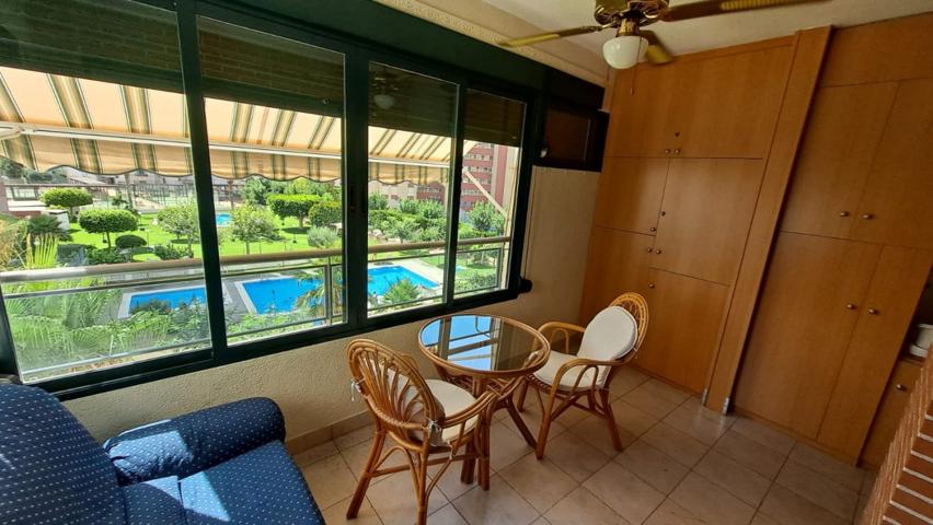 Bonito y reformado Apartamento en Benidorm zona Levante. photo 0