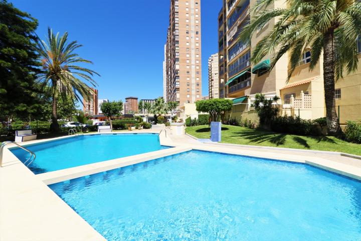 Precioso, totalmente reformado apartamento de esquina con terraza, trastero en zona Levante. photo 0