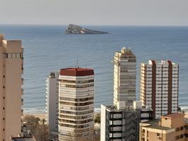 SE VENDE PISO DE CUATRO DORMITORIOS EN BENIDORM LEVANTE. SEVENDGROUP.COM photo 0