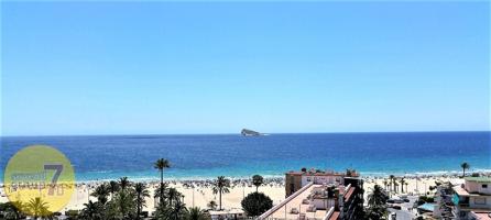 SE VENDE EXCELENTE PISO DE TRES DORMITORIOS CON VISTAS AL MAR EN LA PLAYA DE PONIENTE BENIDORM photo 0