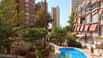 Reformado apartamento en zona Avenida Mediterránea a pocos minutos andando hasta playa Levante. photo 0