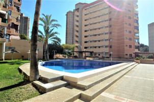 SE VENDE APARTAMNETO DOS DORMITORIOS EN BENIDORM ZONA PONIENTE HOTEL BALI photo 0