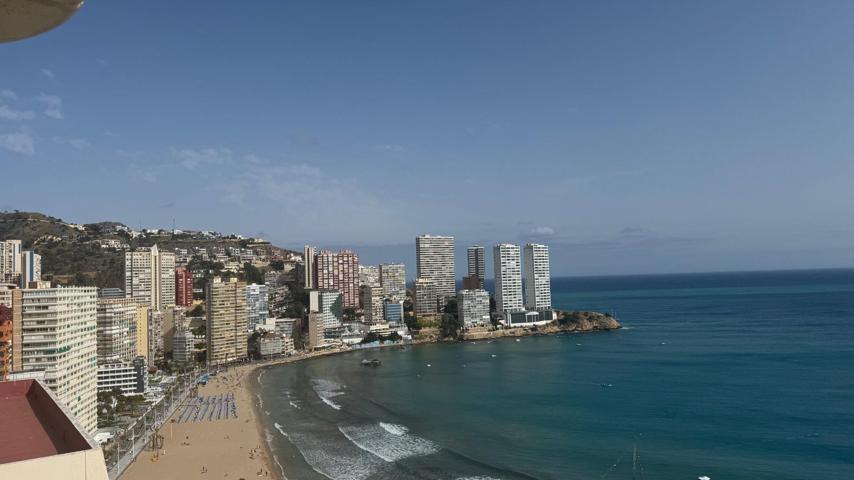 Apartamento en primera linea de la playa de Levante Benidorm! www.euroloix.com photo 0