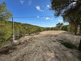 CASA DE CAMPO (ENTREGA REFORMADA) EN FINESTRAT CON 2 DORMITORIOS Y 940 M² DE TERRENO photo 0