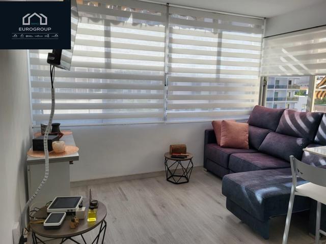 Apartamento de 40 m2 en centro de Benidom , todo el año , www.euroloix.com photo 0