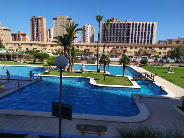 Acogedor apartamento con 1+1 en zona Juzgados. photo 0