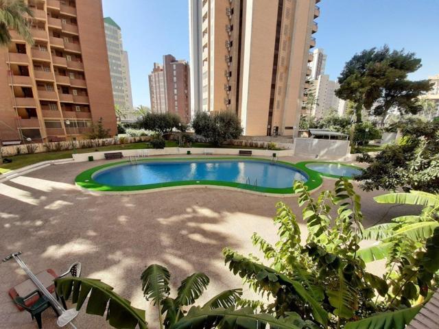 Soleado apartamento 1+1 cerca de playa Levante y zona Centro de Benidorm. photo 0