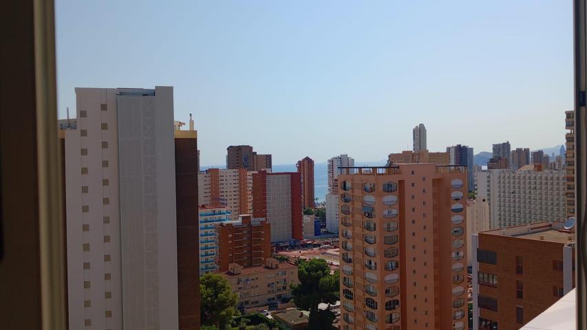 Amplio Ático con 3 dormitorios que ocupa toda la planta de edificio con vistas panoramicas. photo 0