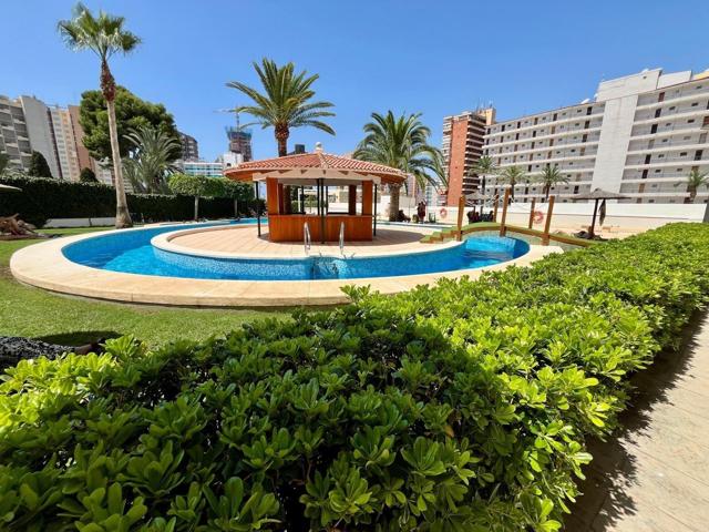 Espectacular apartamento de esquina con amplia terraza en zona Rincon de Loix photo 0