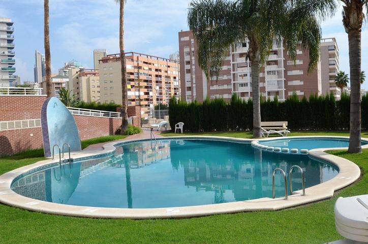 SE VENDE APARTAMENTO DE UN DORMITORIO EN CALA DE VILLAJOSOSA. SEVENDGROUP.COM photo 0