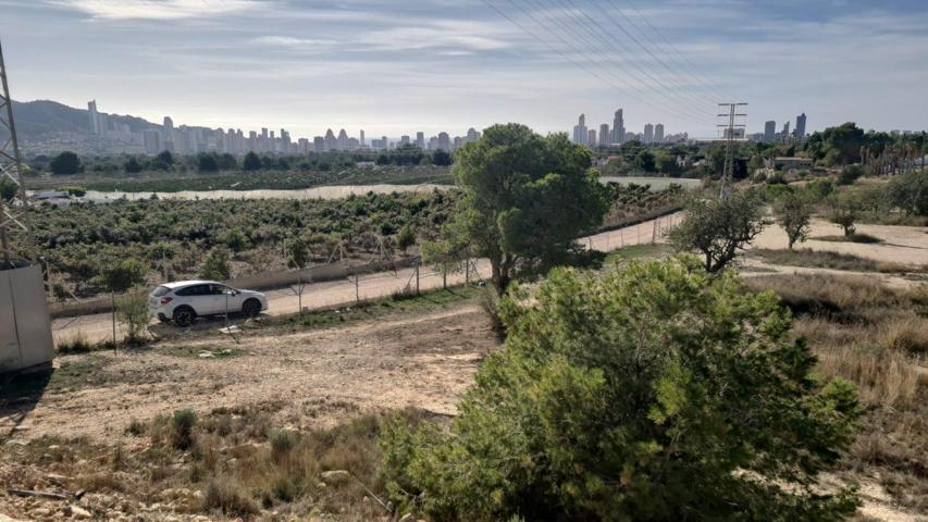 TERRENO RUSTICO, AGRICOLA EN TERMINO MUNICIPAL BENIDORM , SE PUDE SOLICITAR CASETA DE APEROS Y AGUA DE RIEGO photo 0