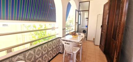 Apartamento a tan solo 200 m de la playa La Mata!!! photo 0