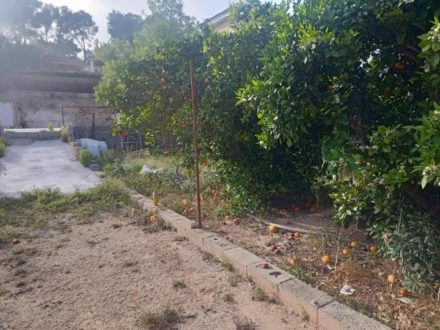 SE VENDE PARCELA URBANA ZONA CALICANTO photo 0