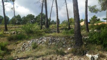 Terreno Urbanizable En venta en Pinedas Armengol, La Torre De Claramunt photo 0