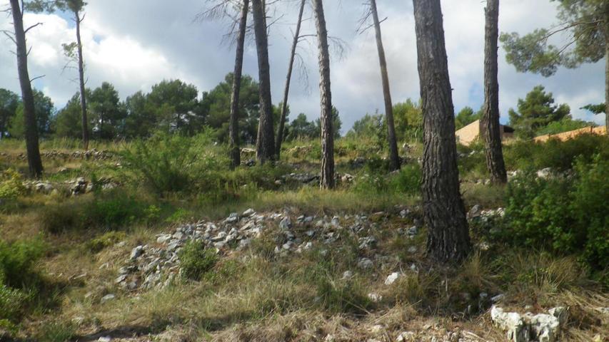 Terreno Urbanizable En venta en Pinedas Armengol, La Torre De Claramunt photo 0