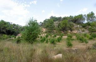 TERRENY RÚSTIC EN VENDA SITUAT A LA POBLA DE CLARAMUNT - LES GARRIGUES photo 0