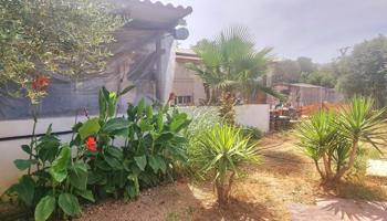 Finca con casa de campo en Vinaròs photo 0