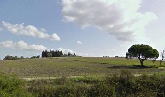¡Oportunidad Única! 10 parcelas segregadas en Chiclana de la Frontera ! photo 0