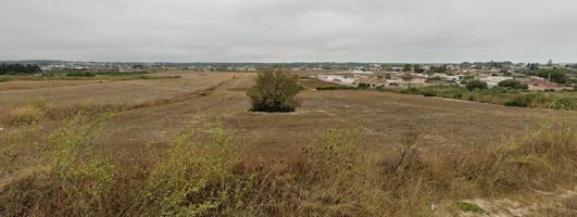 Parcela en Chiclana de la Frontera zona Mayorazgo photo 0