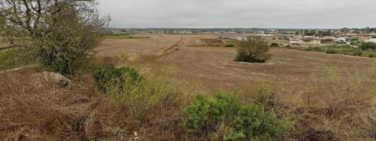 Parcela en Chiclana de la Frontera zona Mayorazgo photo 0