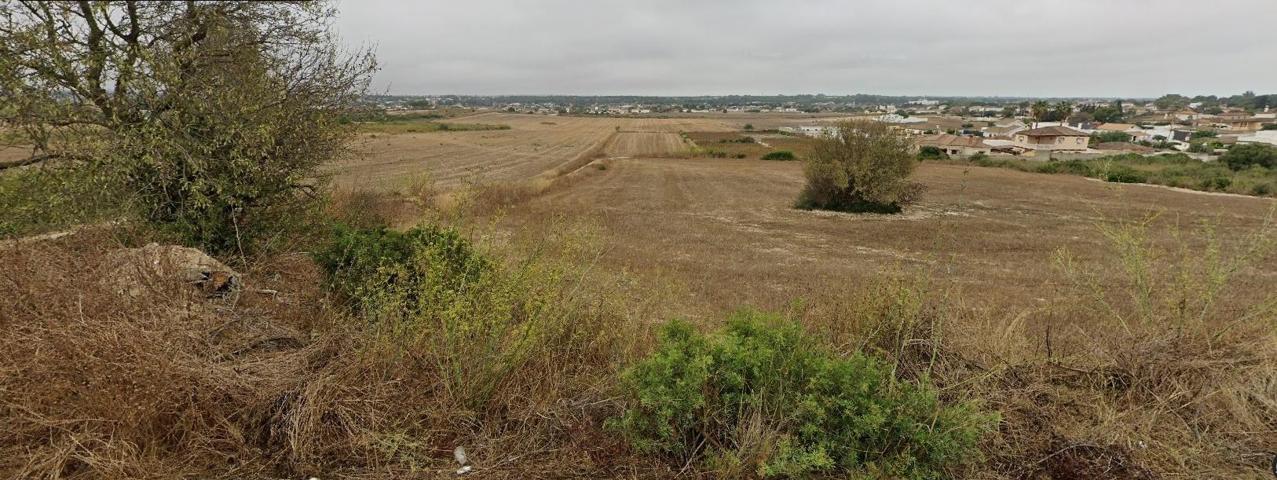 Parcela en Chiclana de la Frontera zona Mayorazgo photo 0