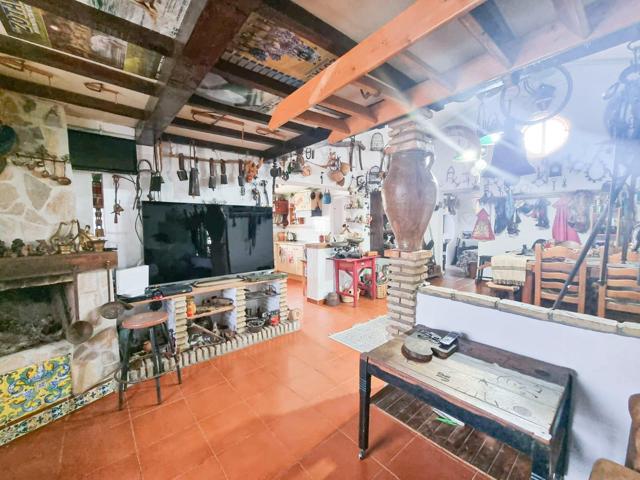 Se vende gran finca rústica segregada con varios apartamentos independientes. photo 0