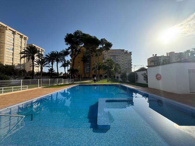 PISO CON PISCINA Y PARKING EN VENTA SAN JUAN PLAYA A POCOS METROS DE LA PLAYA photo 0