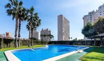 PISO ALQUILER LARGA TEMPORADA PLAYA MUCHAVISTA photo 0