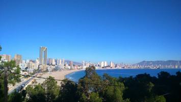 BONITO CHALET en PLAYA PONIENTE photo 0