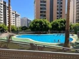 Se vende apartamento de 1 dormitorio en bonita urbanización con buenas piscinas y a 200 metros de la playa photo 0