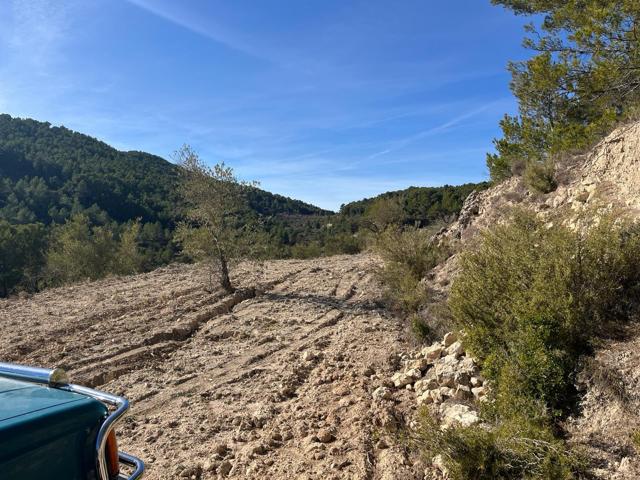 Finca rustica con olivos y almendros en Relleu Torremanzanes photo 0