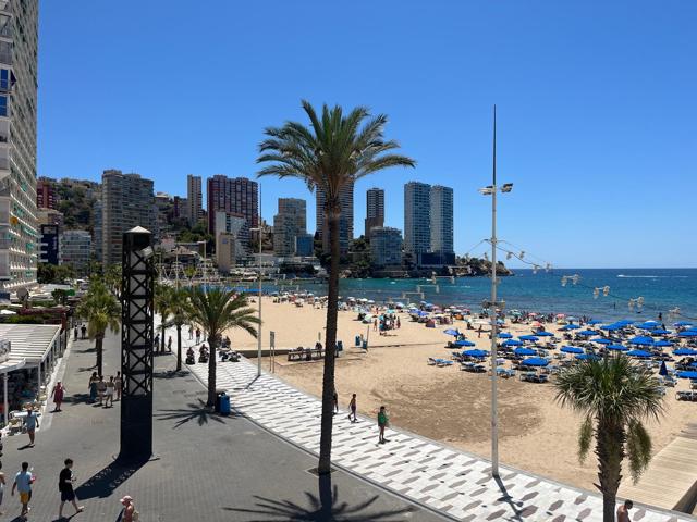 Alquiler larga temporada invierno,oct-jun con de 2 dormitorios en Benidorm primera linea mar,soleado photo 0