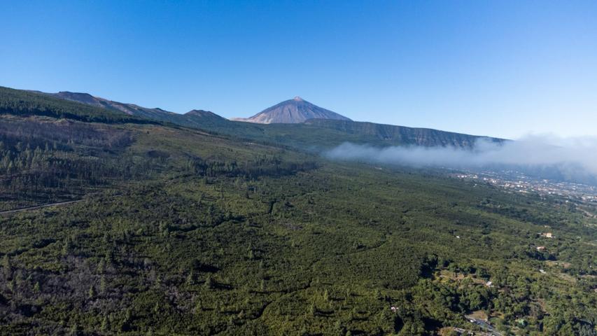 Venta de terreno en Aguamansa photo 0