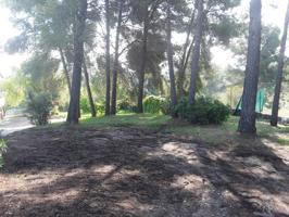 OPORTUNIDAD TERRENO EN CA N'AMAT photo 0