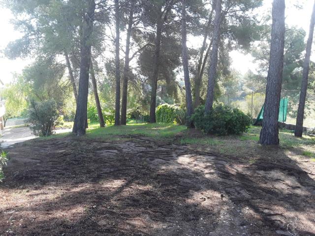 OPORTUNIDAD TERRENO EN CA N'AMAT photo 0