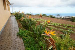 Alquiler de casa en Guia photo 0