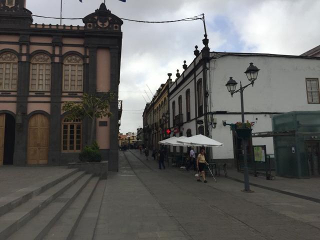 Casona y Jardin en Arucas photo 0