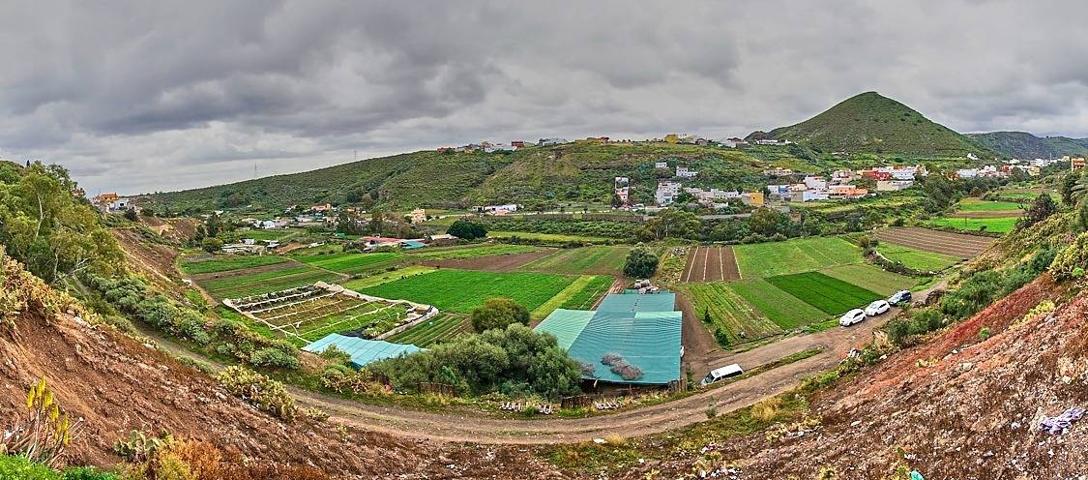 Finca rústica en producción, con agua y vivienda a reformar. photo 0