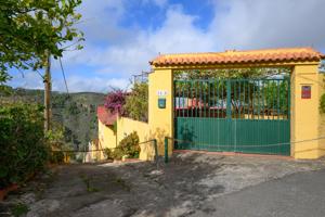 Amplia casa de campo con 3 apartamentos independientes y terreno, photo 0