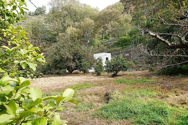 Encantadora Casa Rústica en Teror, Zona del Hornillo, con Amplio Terreno y Vistas Privilegiadas photo 0