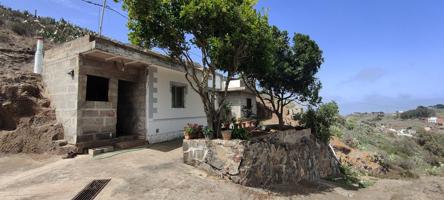 CASA CON ALMACEN, CUEVAS Y TERRENOS. photo 0