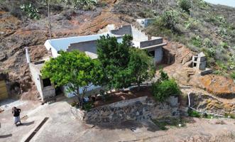 CASA CON ALMACEN, CUEVAS Y TERRENOS. photo 0