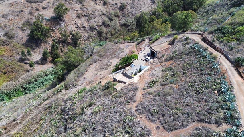 CASA CON ALMACEN, CUEVAS Y TERRENOS. photo 0
