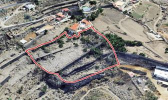 Se vende terreno agrícola de muy alto valor agrario con agua. photo 0